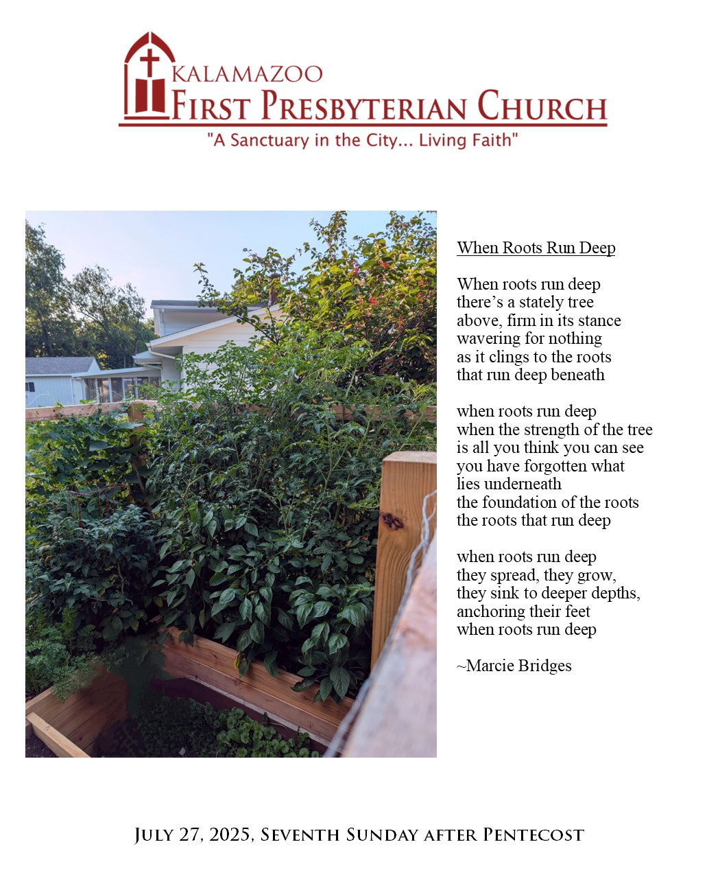 Lessons from the Garden: Roots and Resilience