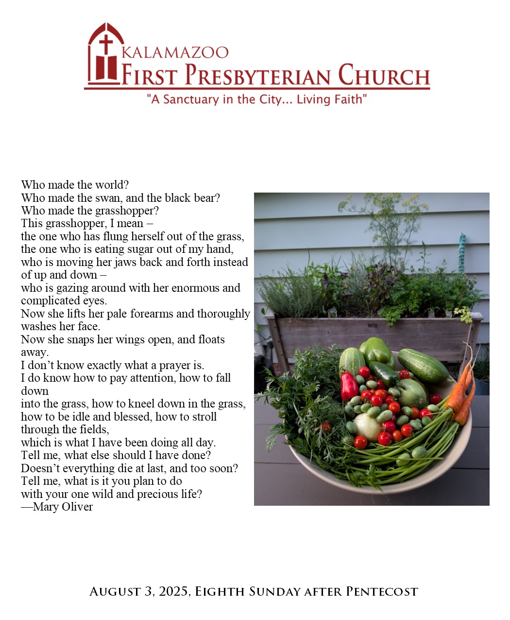 Lessons from the Garden: Bearing Fruit