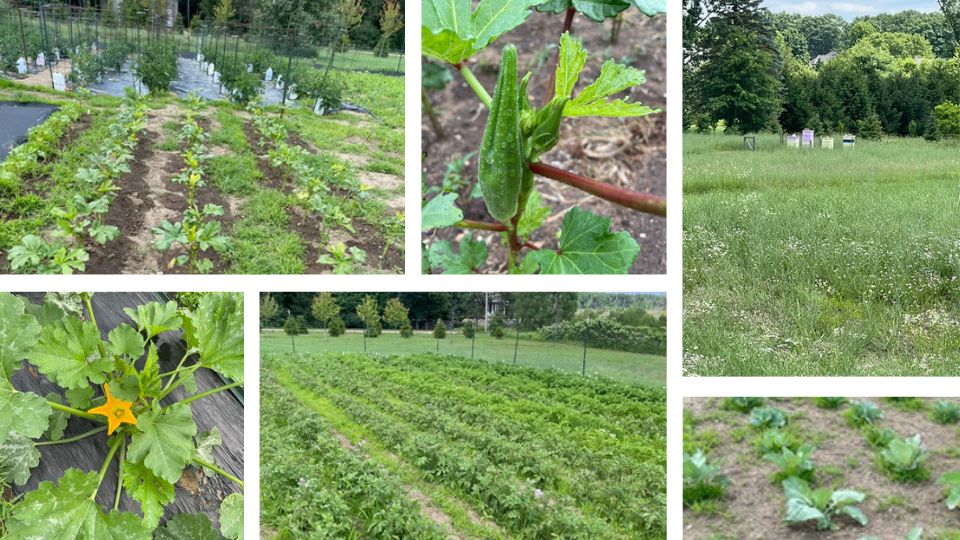 Hope Garden Update 2026